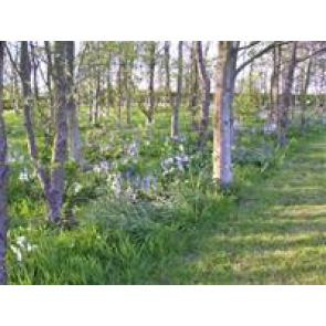 Notice Gallery for Susan Sue LLOYD