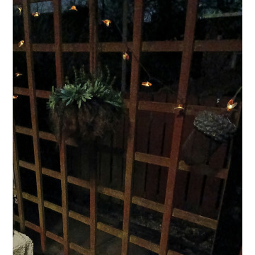 Photo for notice Lilian DOLAN