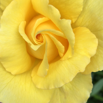 Photo for notice  Philip Aldred