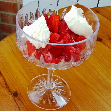 Notice Gallery for Lucy SPILLING