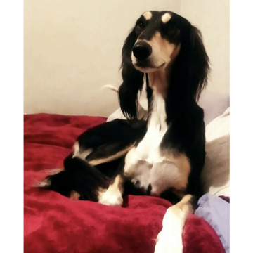 Photo for notice Frederick MITCHELL