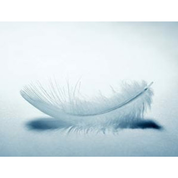 Notice Gallery for DAVIS