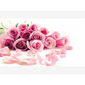 Notice Gallery for Joan WATSON