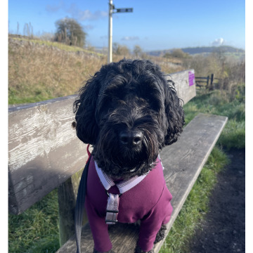 Notice Gallery for Cynthia CLAYTON