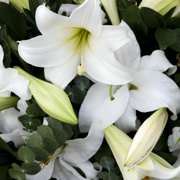 Notice Gallery for Margaret FOX