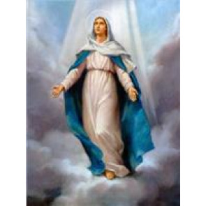 Photo of Teresa Mary DOHERTY