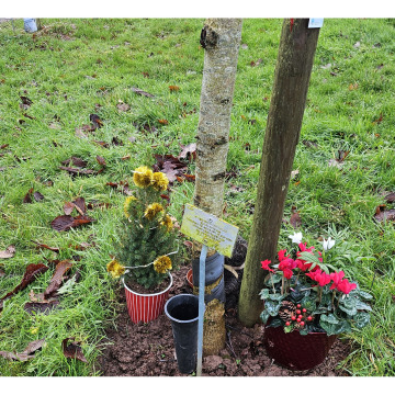 Notice Gallery for Patricia May ALLSOP