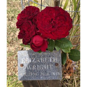 Photo for notice Elizabeth Ellen WRIGHT