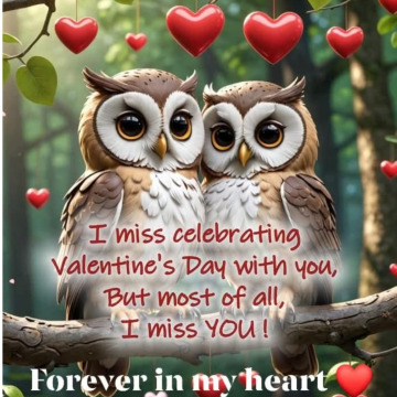 Notice Gallery for Barry MCLOUGHLIN