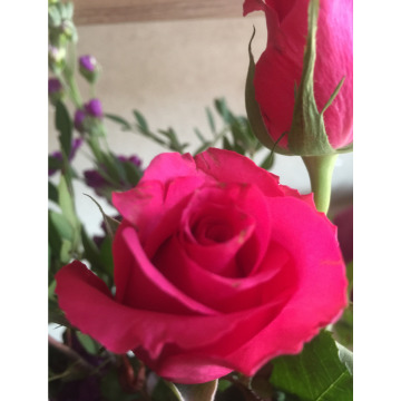 Photo for notice Rita STEWART