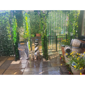 Photo for notice Rita STEWART