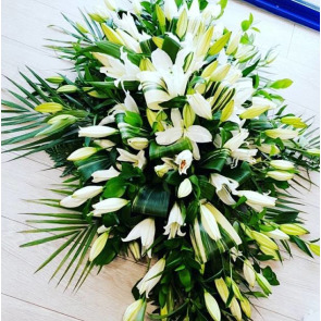 Photo of Hugh Patrick TIERNEY