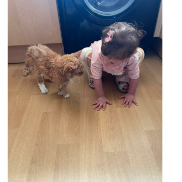 Photo for notice Daniel Edward Ronald BIRDSEY