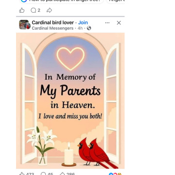 Photo for notice David LAING