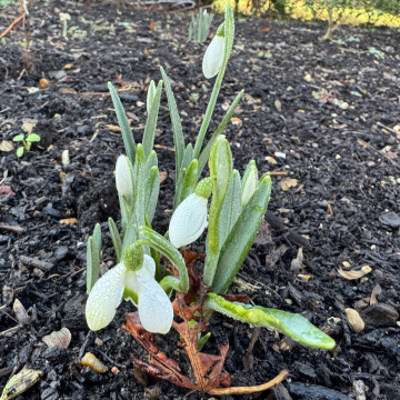 Photo for notice Steven ALLEBONE