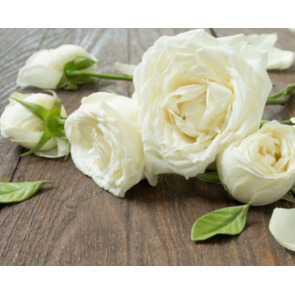 Photo of Constance FOSTER