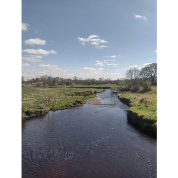 Notice Gallery for James Smith FALCONER