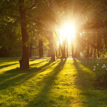 Photo for notice Peggy Doreen DUNN