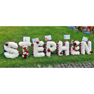 Notice Gallery for Stephen WILLIS