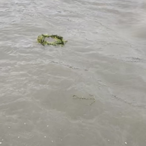 Photo of Tony CASHMORE