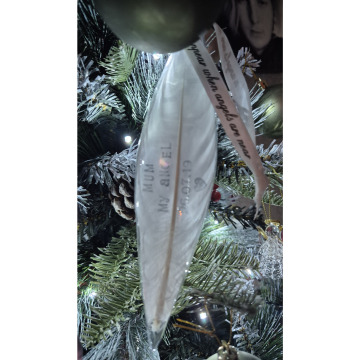 Photo for notice Jill NAYLOR