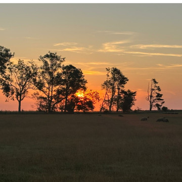 Notice Gallery for Peter PARKES