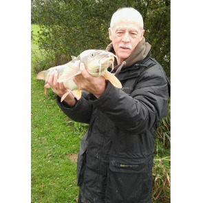 Photo of David EVERALL