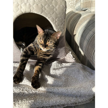 Photo for notice Minnie RATHERAM