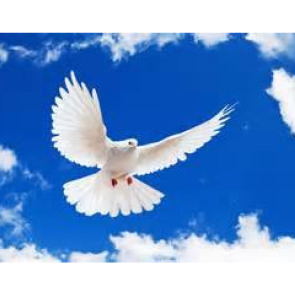 Notice Gallery for Terry ROWELL