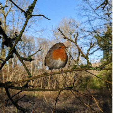 Notice Gallery for Kathleen Isabella WILSON