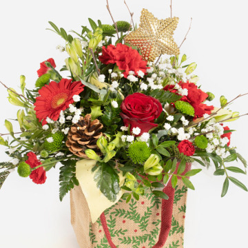 Tribute photo for Alice SLATER