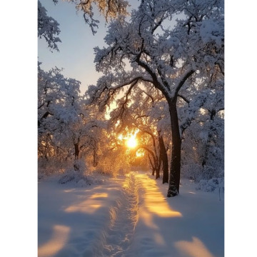 Notice Gallery for Alice SLATER