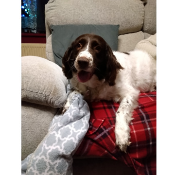 Photo for notice Alan Peter BLYTH