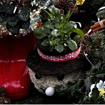 Notice Gallery for Olga Olive O'REILLY