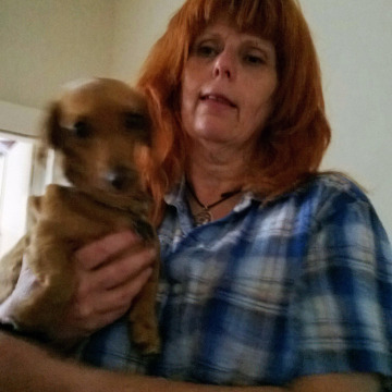 Notice Gallery for Gaynor BARTLETT