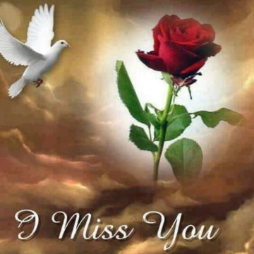 Notice Gallery for IRIS GOSLING