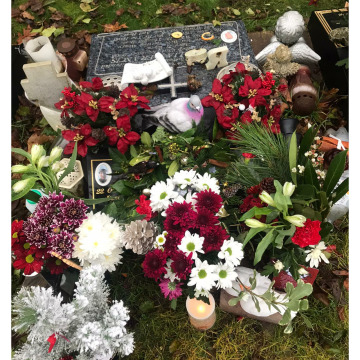 Notice Gallery for JUNE MARY FREEMAN