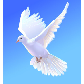 Photo of Malcolm MARSHALL