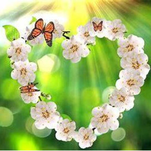 Photo of Dilys June PREECE