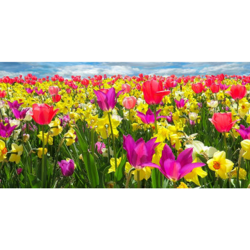 Photo for notice Kerry Jane MAKEPEACE