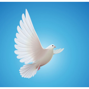 Photo of Peter Michael ELLIOT