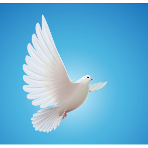 Photo of Barbara WHITTINGTON