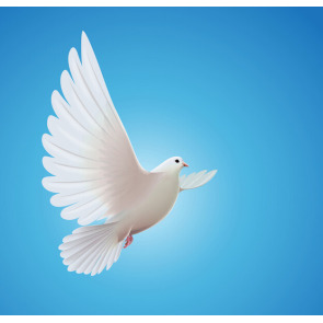 Photo of Revd Dr Ralph WERRELL