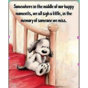 Photo for notice MALCOLM ROWLANDS -