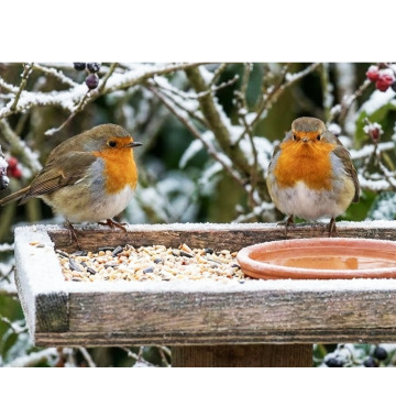 Notice Gallery for MALCOLM ROWLANDS -