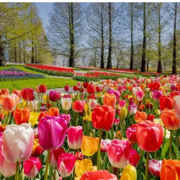 Photo for notice MALCOLM ROWLANDS -