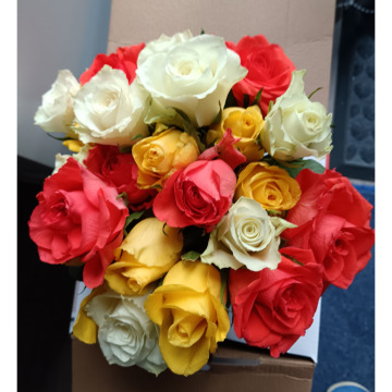 Photo for notice MALCOLM ROWLANDS -