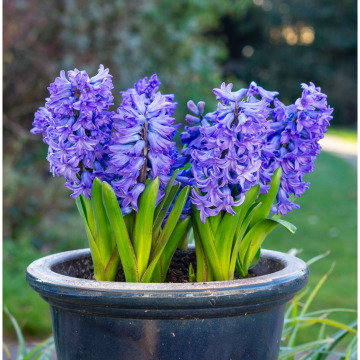 Photo for notice MALCOLM ROWLANDS -