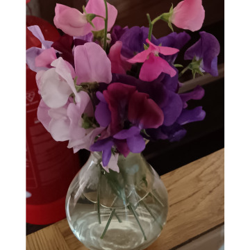 Photo for notice MALCOLM ROWLANDS -