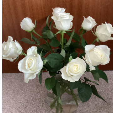 Notice Gallery for David CULVERHOUSE